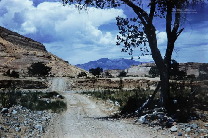 In North Wash. The Henry Mountains are visible in the distance. June 1959. Photo by Charles Kreischer