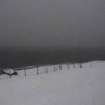 photo by Damon Falke