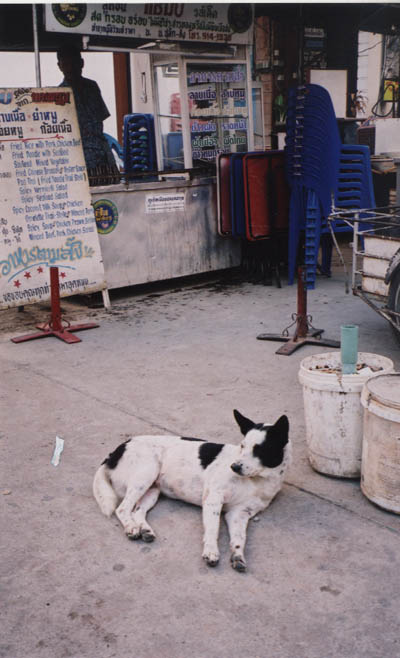 Phuket. Photo by Jim Stiles