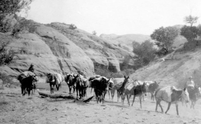 The pack trains for wilderness explorations were often large and unwieldy.