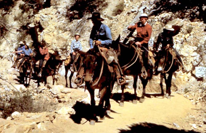 HERB RINGER at the GRAND CANYON (The Complete Collection